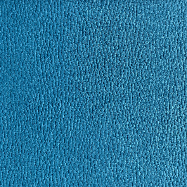 218-06-08 Bleu